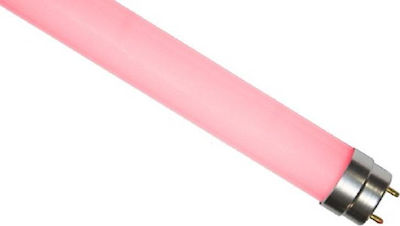 T8 LED GLASS 18W 120cm SMD 1600LM FRESH FOOD 320° 230V AC - ledmania.gr