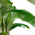 GloboStar® Artificial Garden BANANA TREE 20019 Τεχνητό Διακοσμητικό Φυτό Μπανανιά - Μπανανόδεντρο Υ280cm - ledmania.gr