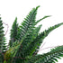 GloboStar® Artificial Garden FERN 20058 Τεχνητό Διακοσμητικό Φυτό Φτέρη Υ40cm - ledmania.gr