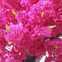 GloboStar® Artificial Garden CHERRY BLOSSOM TREE 20185 Τεχνητό Διακοσμητικό Δέντρο Βουκαμβίλια Άνθος Κερασιάς Υ320cm - ledmania.gr