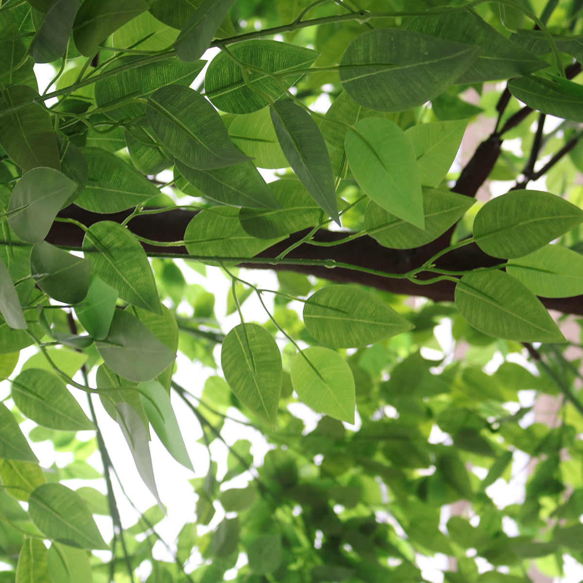 GloboStar® Artificial Garden BANYAN FICUS TREE 20186 Τεχνητό Διακοσμητικό Δέντρο Ινδική Συκιά Φίκος Υ320cm - ledmania.gr