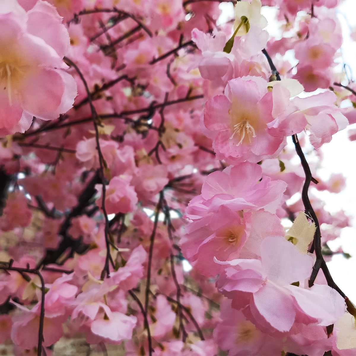 GloboStar® Artificial Garden CHERRY BLOSSOM TREE 20212 Τεχνητό Διακοσμητικό Δέντρο Άνθος Κερασιάς Υ300cm - ledmania.gr