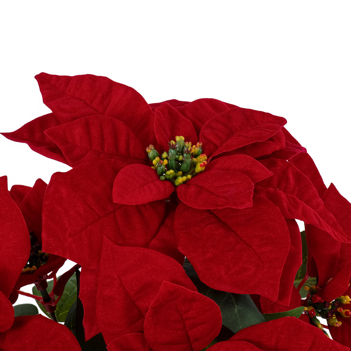 GloboStar® Artificial Garden CHRISTMASS FLOWER EUPHORBIA 20365 Τεχνητό Διακοσμητικό Χριστουγεννιάτικο Λουλούδι Αλεξανδρινό Υ49cm - ledmania.gr