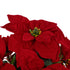 GloboStar® Artificial Garden CHRISTMASS FLOWER EUPHORBIA 20365 Τεχνητό Διακοσμητικό Χριστουγεννιάτικο Λουλούδι Αλεξανδρινό Υ49cm - ledmania.gr