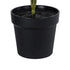 GloboStar® Artificial Garden CHRISTMASS FLOWER EUPHORBIA 20365 Τεχνητό Διακοσμητικό Χριστουγεννιάτικο Λουλούδι Αλεξανδρινό Υ49cm - ledmania.gr