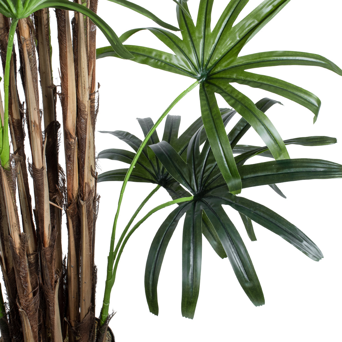 GloboStar® Artificial Garden BROADLEAF LADY PALM TREE 20384 Τεχνητό Διακοσμητικό Φυτό Πλατύφυλλος Φοίνικας Μπαμπού Υ300cm - ledmania.gr