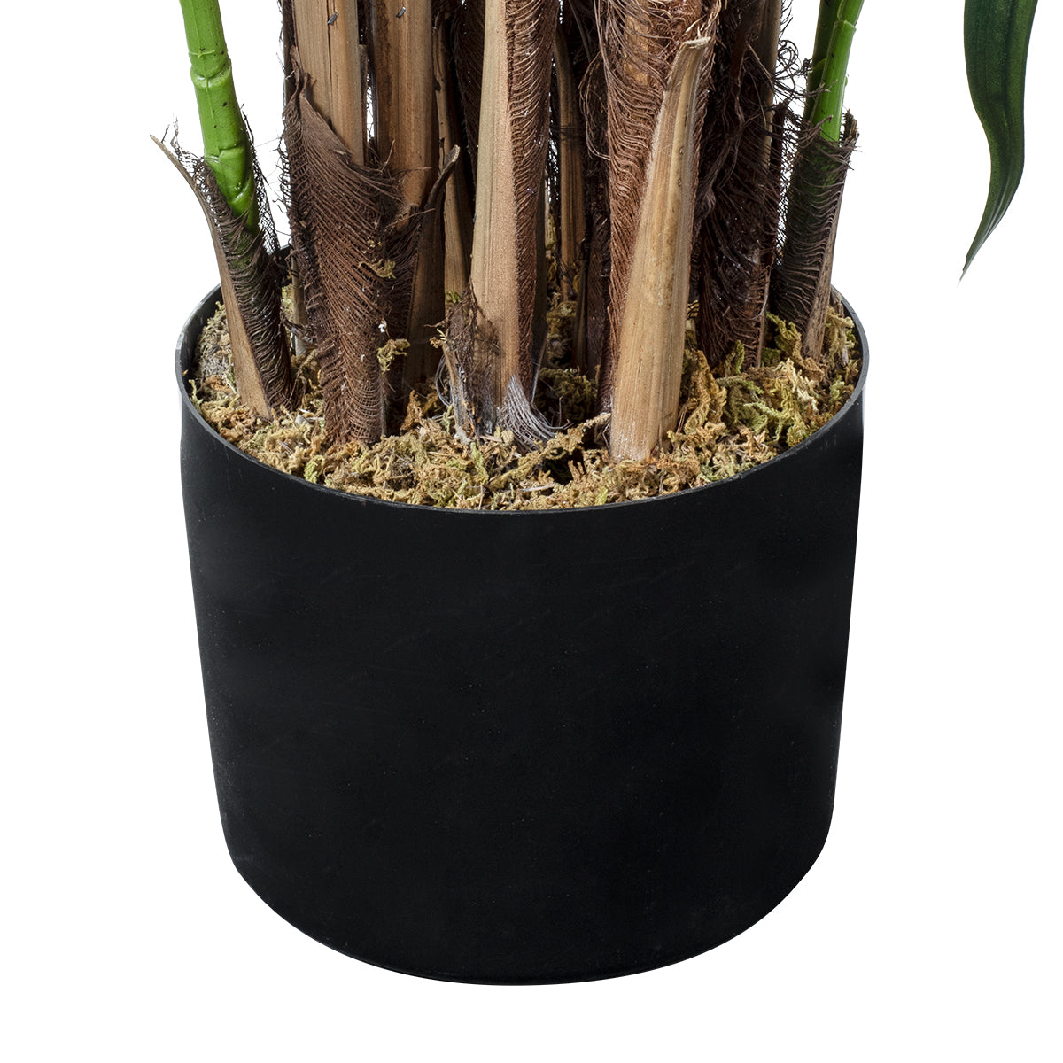 GloboStar® Artificial Garden BROADLEAF LADY PALM TREE 20384 Τεχνητό Διακοσμητικό Φυτό Πλατύφυλλος Φοίνικας Μπαμπού Υ300cm - ledmania.gr