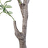 GloboStar® Artificial Garden OLIVE TREE 20429 Τεχνητό Διακοσμητικό Δέντρο Ελιά Υ240cm - ledmania.gr