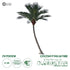 GloboStar® Artificial Garden CURVED COCONUT PALM TREE 20443 Τεχνητό Διακοσμητικό Κυρτό Φοινικόδεντρο Κοκοφοίνικας Εξωτερικού Χώρου IP68 UV Certified Protection Υ400cm - ledmania.gr