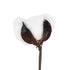 GloboStar® Artificial Garden COTTON BRANCH 20493 Τεχνητό Διακοσμητικό Κλαδί βαμβάκι Υ43cm - ledmania.gr