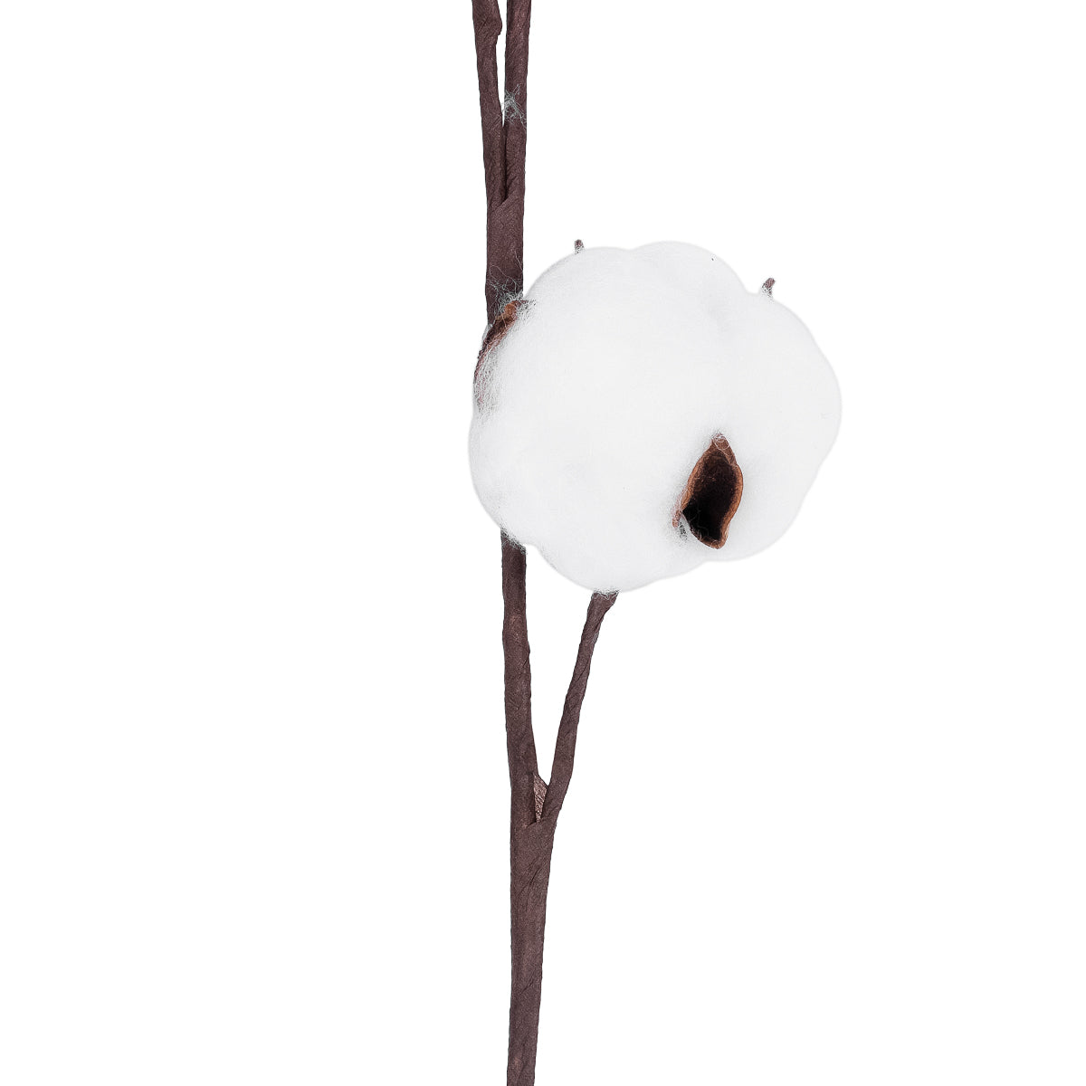 GloboStar® Artificial Garden COTTON BRANCH 20493 Τεχνητό Διακοσμητικό Κλαδί βαμβάκι Υ43cm - ledmania.gr