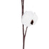 GloboStar® Artificial Garden COTTON BRANCH 20493 Τεχνητό Διακοσμητικό Κλαδί βαμβάκι Υ43cm - ledmania.gr