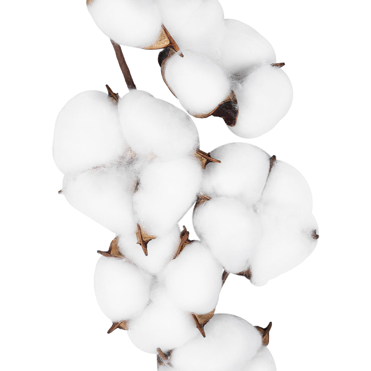 GloboStar® Artificial Garden COTTON BRANCH 20558 Τεχνητό Διακοσμητικό Κλαδί βαμβάκι Υ45cm - ledmania.gr