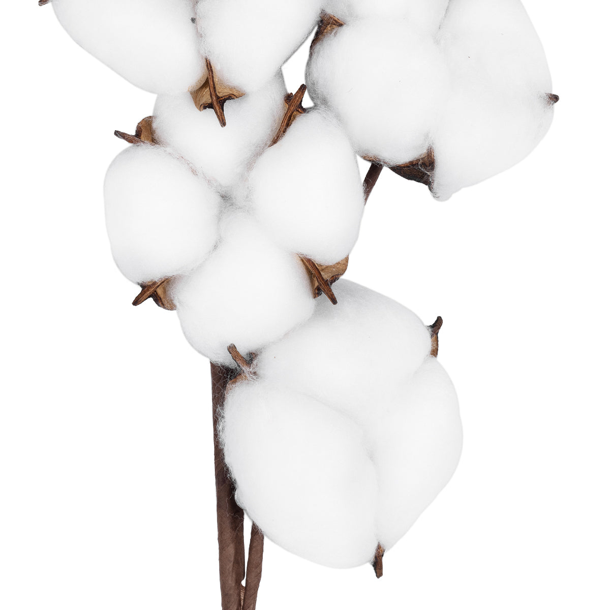 GloboStar® Artificial Garden COTTON BRANCH 20558 Τεχνητό Διακοσμητικό Κλαδί βαμβάκι Υ45cm - ledmania.gr