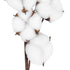 GloboStar® Artificial Garden COTTON BRANCH 20558 Τεχνητό Διακοσμητικό Κλαδί βαμβάκι Υ45cm - ledmania.gr