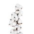 GloboStar® Artificial Garden COTTON BRANCH 20559 Τεχνητό Διακοσμητικό Κλαδί βαμβάκι Y55cm - ledmania.gr
