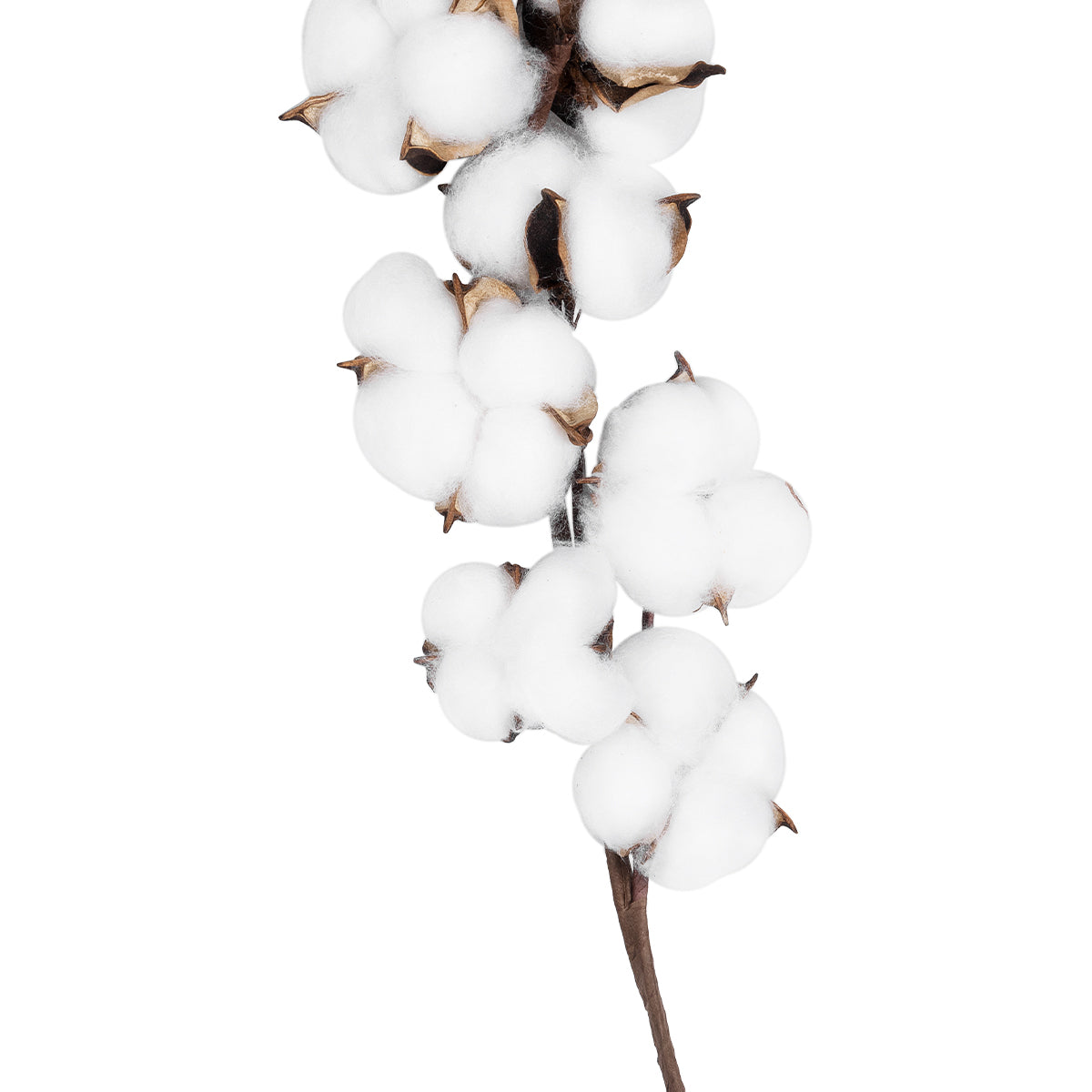 GloboStar® Artificial Garden COTTON BRANCH 20559 Τεχνητό Διακοσμητικό Κλαδί βαμβάκι Y55cm - ledmania.gr