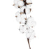 GloboStar® Artificial Garden COTTON BRANCH 20559 Τεχνητό Διακοσμητικό Κλαδί βαμβάκι Y55cm - ledmania.gr