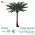 GloboStar® Artificial Garden COCONUT PALM TREE 20594 Τεχνητό Διακοσμητικό Φοινικόδεντρο Κοκοφοίνικας Υ500cm - ledmania.gr