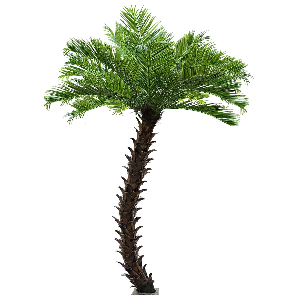 GloboStar® Artificial Garden PHOENIX ROEBELENII PALM TREE 20596 Τεχνητό Διακοσμητικό Φυτό Φοινικόδεντρο Ρομπελίνι Εξωτερικού Χώρου IP68 UV Certified Protection Υ500cm - ledmania.gr