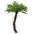 GloboStar® Artificial Garden PHOENIX ROEBELENII PALM TREE 20596 Τεχνητό Διακοσμητικό Φυτό Φοινικόδεντρο Ρομπελίνι Εξωτερικού Χώρου IP68 UV Certified Protection Υ500cm - ledmania.gr