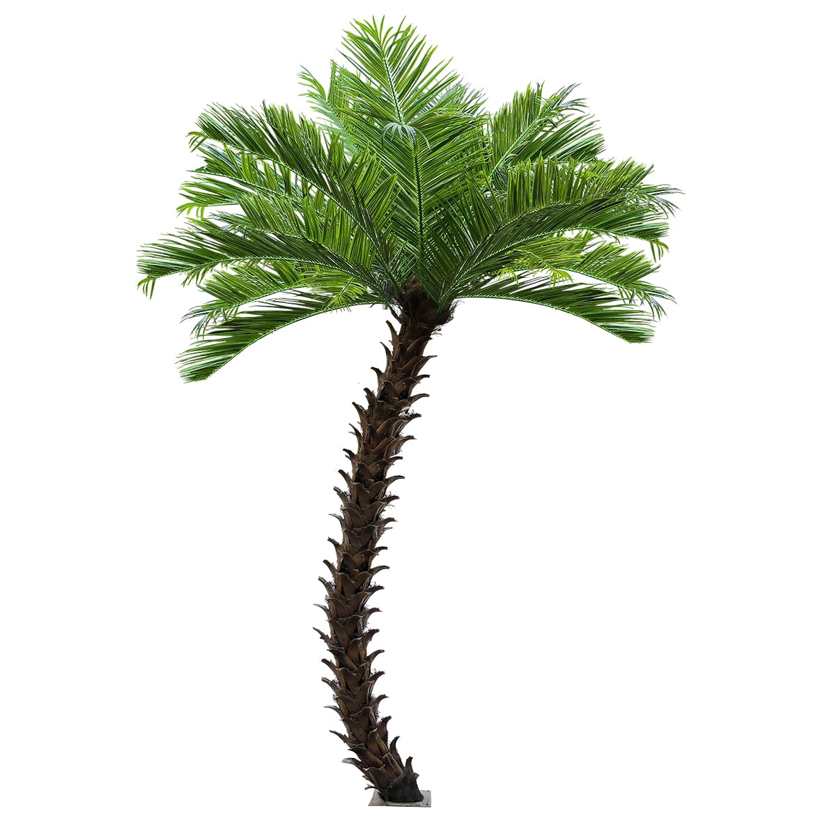 GloboStar® Artificial Garden PHOENIX ROEBELENII PALM TREE 20597 Τεχνητό Διακοσμητικό Φυτό Φοινικόδεντρο Ρομπελίνι Εξωτερικού Χώρου IP68 UV Certified Protection Υ600cm - ledmania.gr
