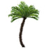 GloboStar® Artificial Garden PHOENIX ROEBELENII PALM TREE 20597 Τεχνητό Διακοσμητικό Φυτό Φοινικόδεντρο Ρομπελίνι Εξωτερικού Χώρου IP68 UV Certified Protection Υ600cm - ledmania.gr