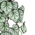 GloboStar® Artificial Garden REX BEGONIA HANGING PLANT 20604 Τεχνητό Διακοσμητικό Κρεμαστό Φυτό Βιγόνια Υ45cm - ledmania.gr