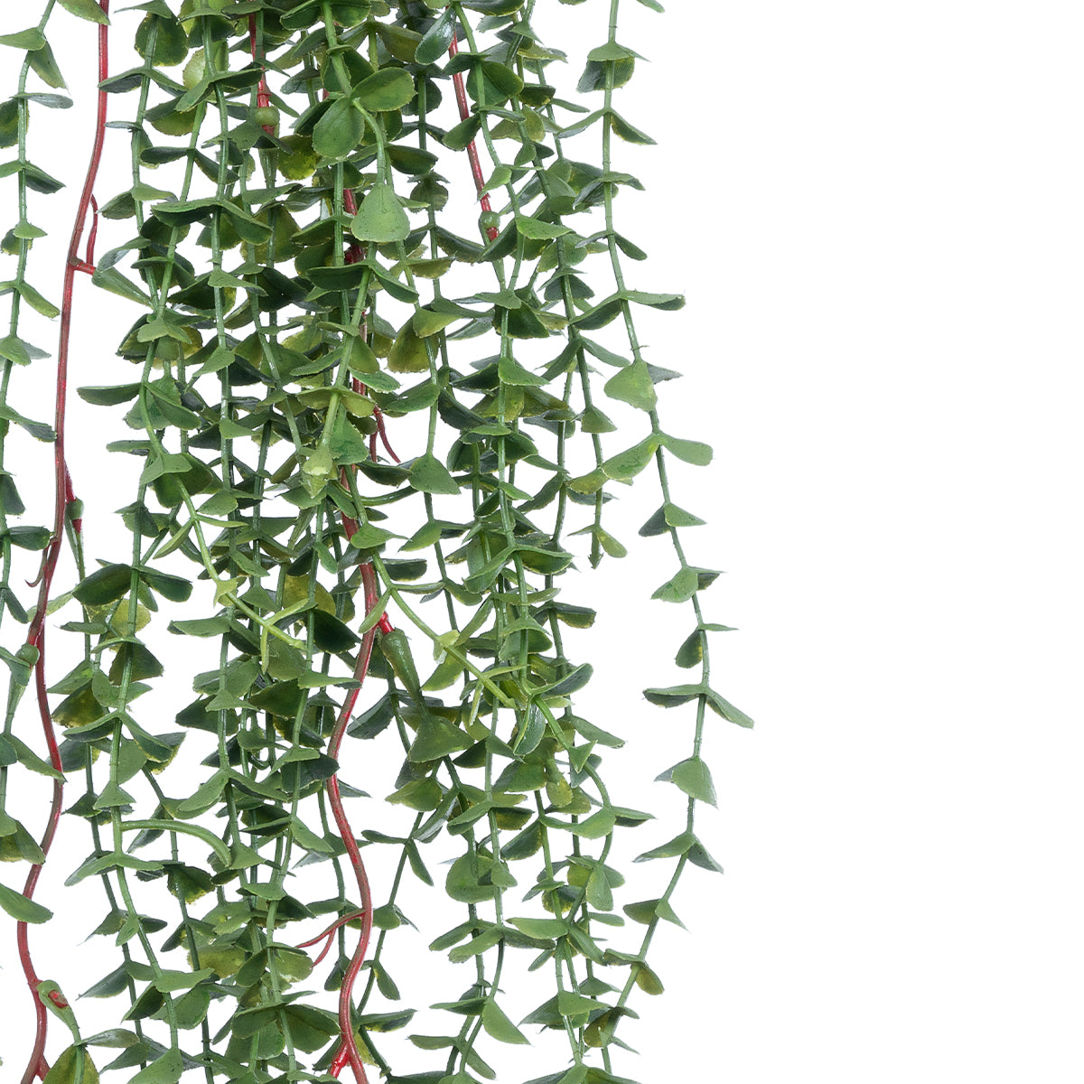 GloboStar® Artificial Garden EUCALYPTUS HANGING PLANT 20618 Τεχνητό Διακοσμητικό Κρεμαστό Φυτό Ευκάλυπτος Υ130cm - ledmania.gr