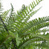 GloboStar® Artificial Garden FERN HANGING PLANT 20624 Τεχνητό Κρεμαστό Διακοσμητικό Φυτό Φτέρης Y45cm - ledmania.gr