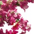 GloboStar® Artificial Garden BOUGAUVILLEA 20670 Τεχνητό Διακοσμητικό Δέντρο με Ανθη Μπουκανβίλιας Φουξ Υ250cm - ledmania.gr