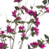 GloboStar® Artificial Garden BOUGAUVILLEA 20676 Τεχνητό Διακοσμητικό Φυτό με Ανθη Μπουκανβίλιας Φουξ Υ180cm - ledmania.gr