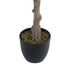 GloboStar® Artificial Garden BOUGAUVILLEA 20676 Τεχνητό Διακοσμητικό Φυτό με Ανθη Μπουκανβίλιας Φουξ Υ180cm - ledmania.gr