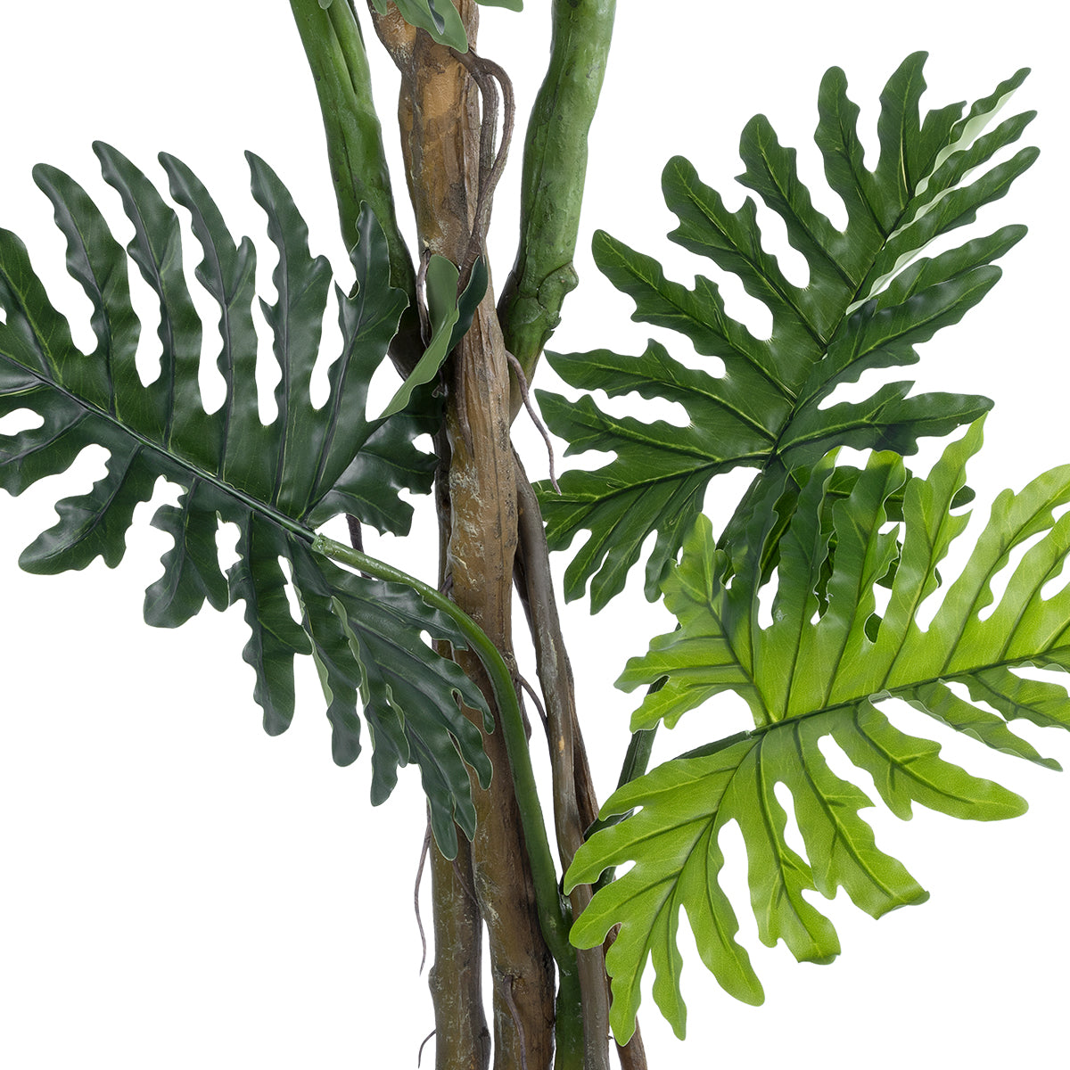 GloboStar® Artificial Garden PHILODENDRON 20685 Τεχνητό Διακοσμητικό Φυτό Φυλλόδενδρο Υ180cm - ledmania.gr