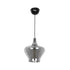GLOBOSTAR® OVOCE 206-0032 Μοντέρνο Κρεμαστό Φωτιστικό Οροφής με Ντουί 1 x E27 AC 220-240V IP20 - Μαύρο Φιμέ - Μ20 x Π20 x Υ22cm - ledmania.gr