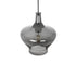 GLOBOSTAR® OVOCE 206-0032 Μοντέρνο Κρεμαστό Φωτιστικό Οροφής με Ντουί 1 x E27 AC 220-240V IP20 - Μαύρο Φιμέ - Μ20 x Π20 x Υ22cm - ledmania.gr