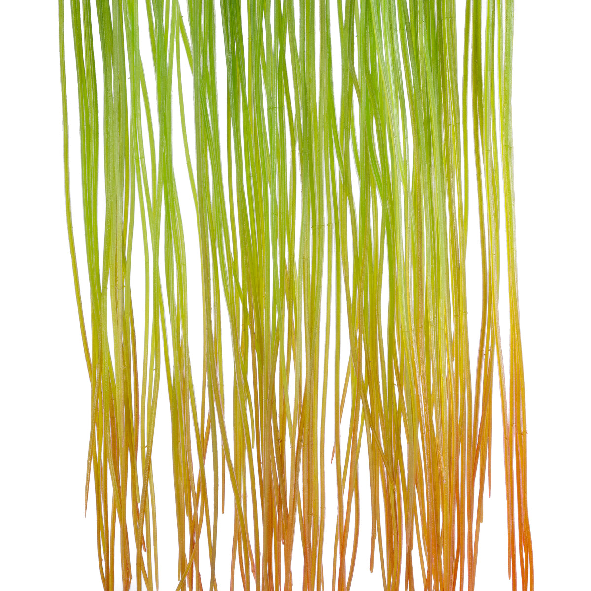 GloboStar® Artificial Garden HANGING GRASS 20815 Τεχνητό Διακοσμητικό Κρεμαστό Φυτό Grass Μ18 x Π4 x Υ81cm - ledmania.gr