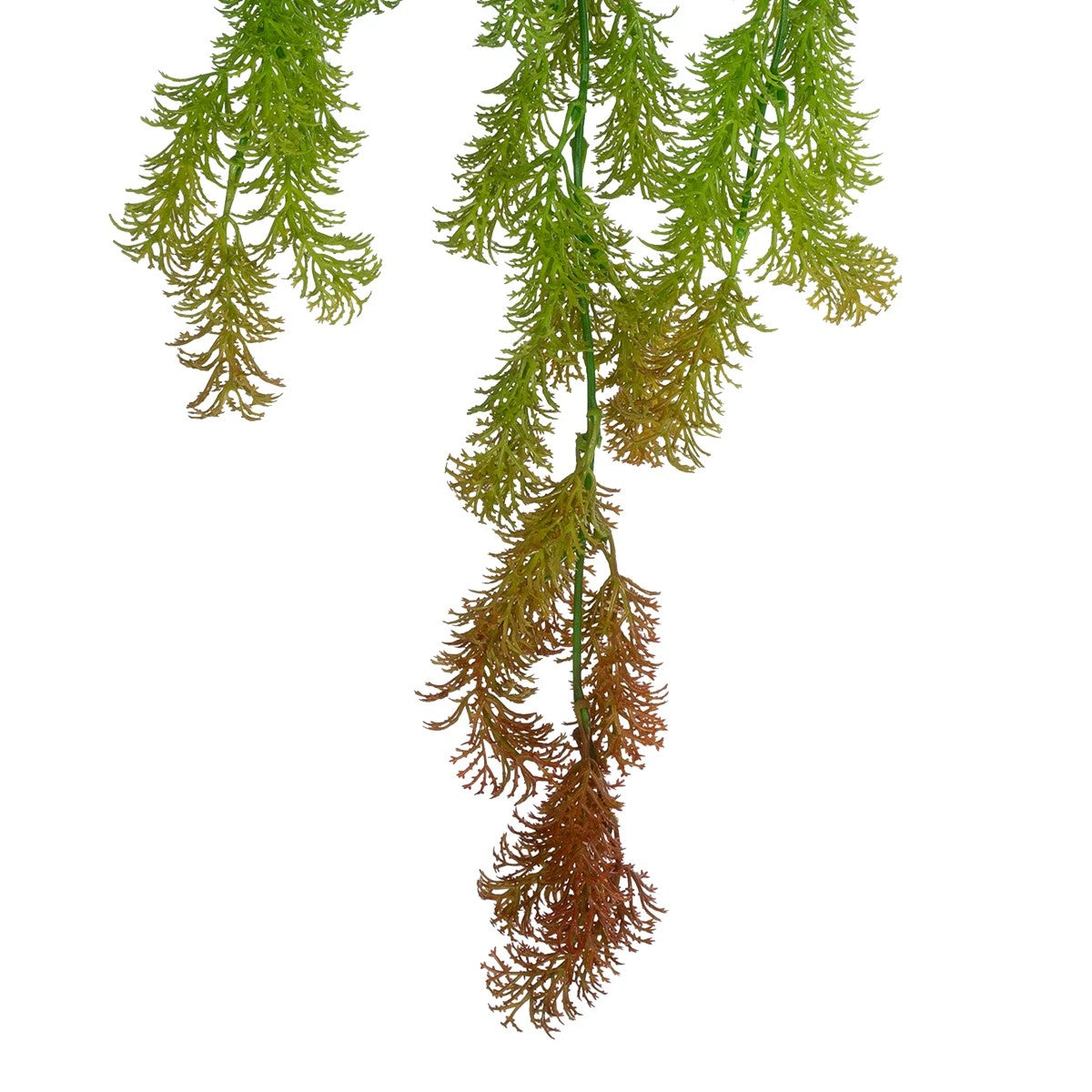 GloboStar® Artificial Garden HANGING CYPRESS 20822 Τεχνητό Διακοσμητικό Κρεμαστό Φυτό Κυπαρίσσι Μ25 x Π15 x Υ80cm - ledmania.gr