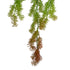 GloboStar® Artificial Garden HANGING CYPRESS 20822 Τεχνητό Διακοσμητικό Κρεμαστό Φυτό Κυπαρίσσι Μ25 x Π15 x Υ80cm - ledmania.gr