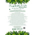 GloboStar® Artificial Garden HANGING CYPRESS 20822 Τεχνητό Διακοσμητικό Κρεμαστό Φυτό Κυπαρίσσι Μ25 x Π15 x Υ80cm - ledmania.gr