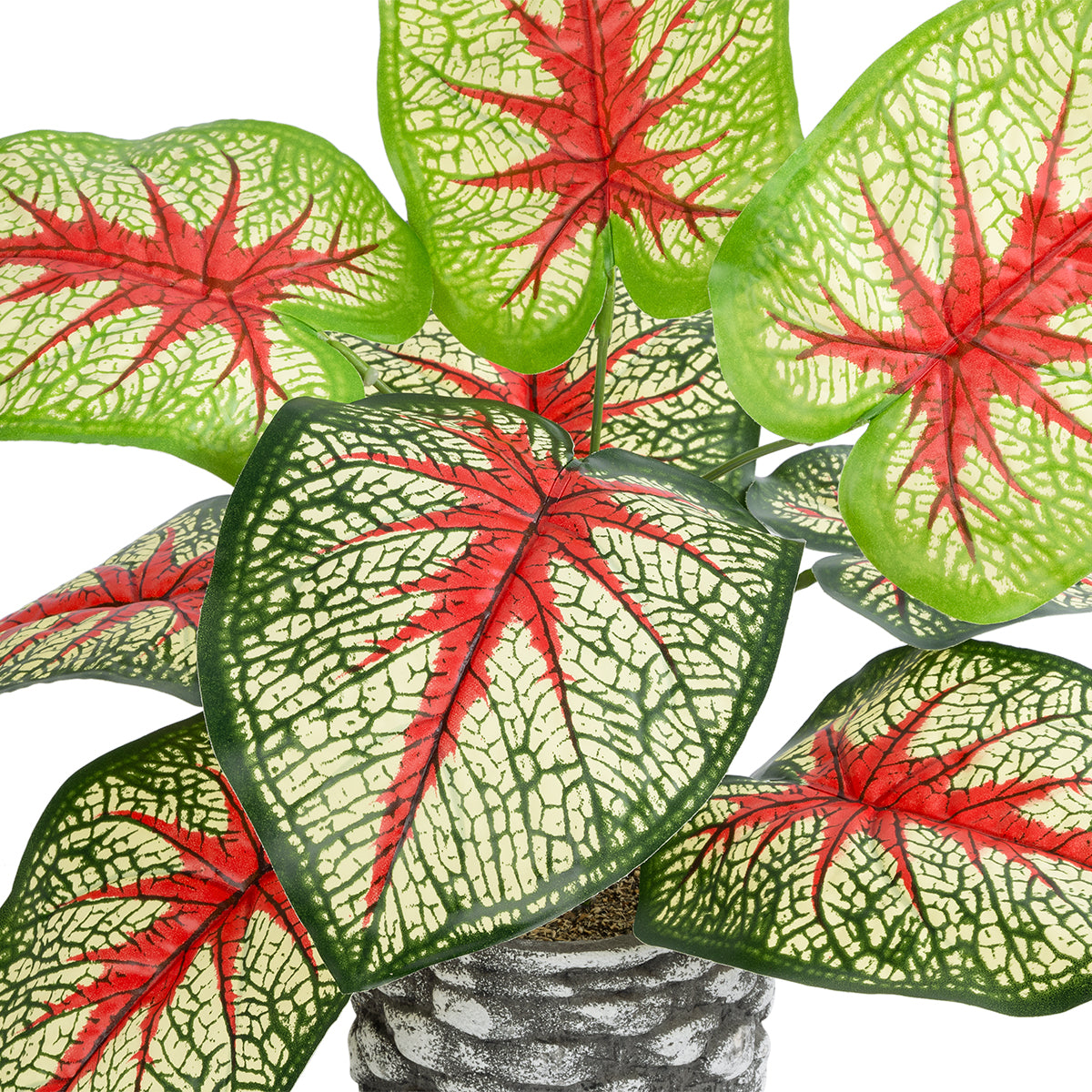 GloboStar® Artificial Garden CALADIUM 20891 Τεχνητό Διακοσμητικό Φυτό Τροπικό Φυτό Φ40 x Υ33cm - ledmania.gr