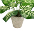 GloboStar® Artificial Garden DIEFFENBACHIA POTTED PLANT 20897 Διακοσμητικό Φυτό Διεφενμπάχια Φ40 x Υ33cm - ledmania.gr