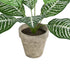 GloboStar® Artificial Garden ZEBRA POTTED PLANT 20898 Διακοσμητικό Φυτό Ζέμπρα Φ40 x Υ33cm - ledmania.gr