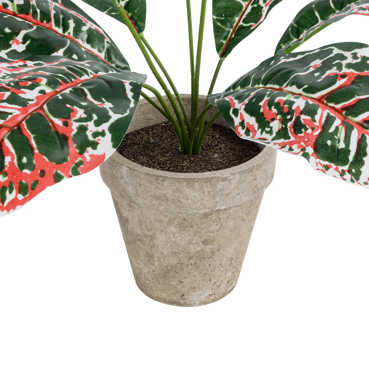 GloboStar® Artificial Garden RED AGLAONEMA POTTED PLANT 20901 Διακοσμητικό Φυτό Κόκκινο Αγλαόνημα Φ40 x Υ33cm - ledmania.gr