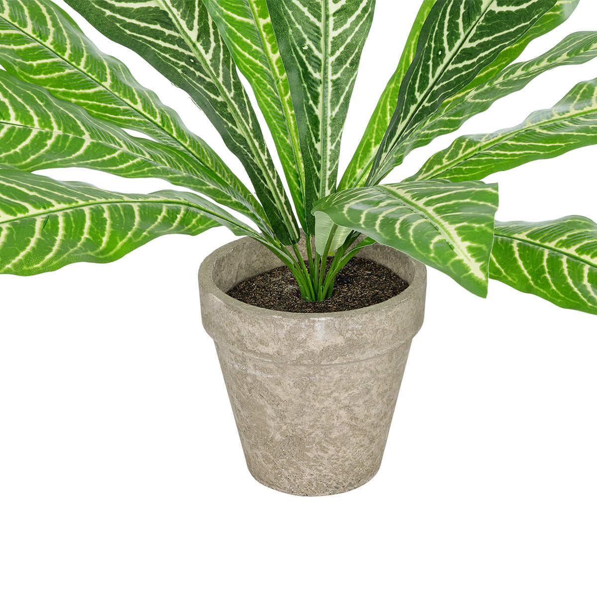 GloboStar® Artificial Garden  ZEBRA POTTED PLANT 20906 Διακοσμητικό Φυτό Ζέμπρα Φ40 x Υ33cm - ledmania.gr