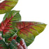GloboStar® Artificial Garden CALADIUM MIX 20911 Διακοσμητικό Φυτό Καλάντιουμ Υ75cm - ledmania.gr