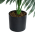 GloboStar® Artificial Garden CALADIUM 20915 Διακοσμητικό Φυτό Καλάντιουμ Υ80cm - ledmania.gr