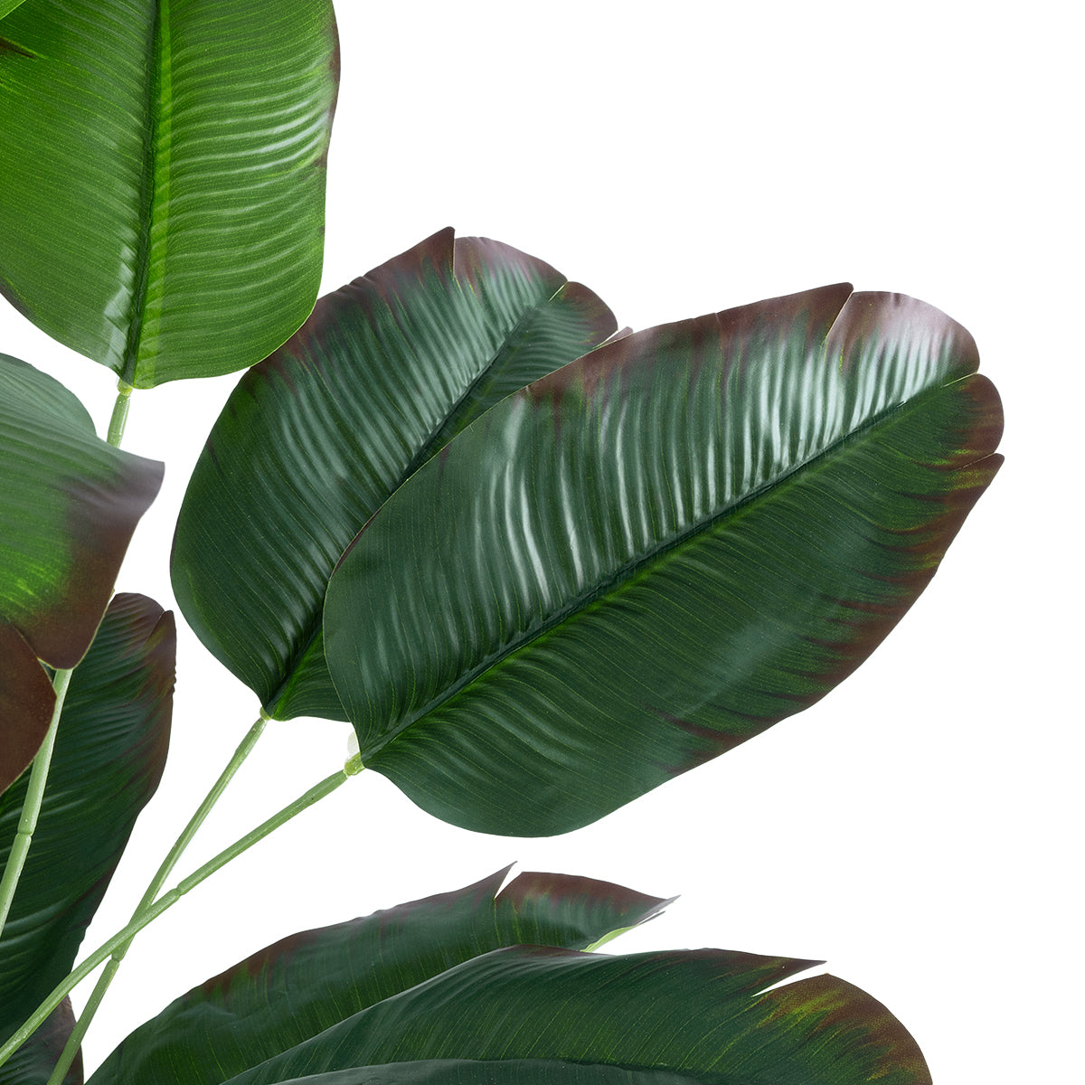 GloboStar® Artificial Garden OLD BANANA 20917 Διακοσμητικό Φυτό Ώριμη Μπανανιά Υ80cm - ledmania.gr