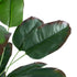 GloboStar® Artificial Garden OLD BANANA 20917 Διακοσμητικό Φυτό Ώριμη Μπανανιά Υ80cm - ledmania.gr