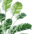 GloboStar® Artificial Garden BANANA ZEBRA 20918 Διακοσμητικό Φυτό Μπανανιά Ζέβρα Υ80cm - ledmania.gr